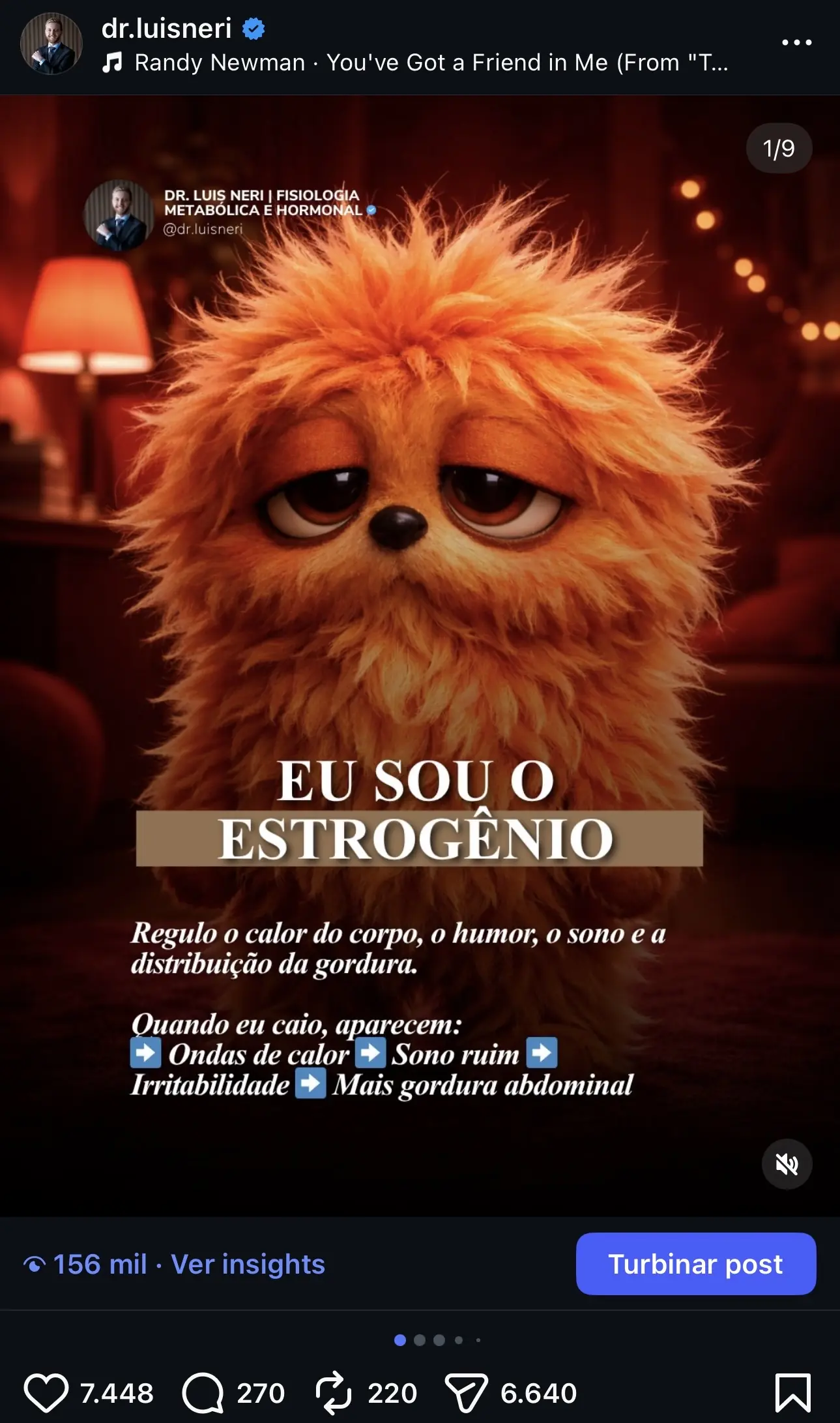 conteúdo